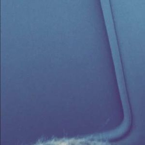 Meet your Posher, Darren